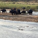 Photo taken by rhonda c