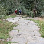 Photo taken by Mitzi F