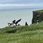 Photo taken by Jennifer M