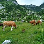 Photo taken by Janis R