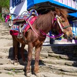 Photo taken by Peter M