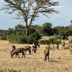 Photo taken by Julien C