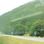 Photo taken by Iris W