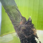 Photo taken by Blair H