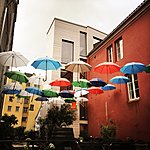 Photo taken by Genevieve C