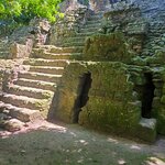 Photo taken by Camille S