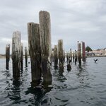 Photo taken by William B