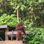 Photo taken by Sabiha K