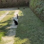 Photo taken by Amy C