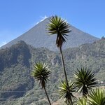 Photo taken by Solomon F