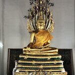 Photo taken by Shaula L