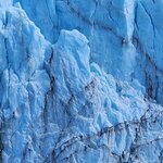 Photo taken by Devon B