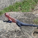 Photo taken by Kristin M