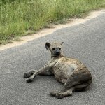 Photo taken by Christopher F