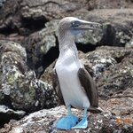 Photo taken by Jennifer Z