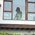 Photo taken by Sean S