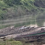 Photo taken by Meenakshi B