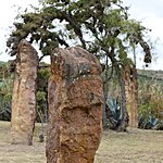 Photo taken by Linda M