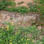 Photo taken by Cynthia D