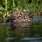 Photo taken by Matt W