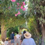 Photo taken by Denise F