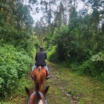 Photo taken by Lee B