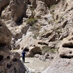 Photo taken by Randall D