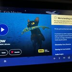 Photo taken by Tina D