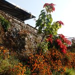 Photo taken by Wayne D