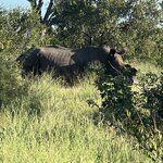 Photo taken by Crystall P