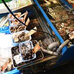 Photo taken by Jason P