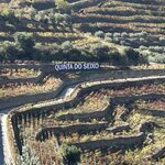 Photo taken by Vicki V