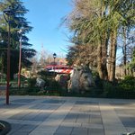 Photo taken by Maria R