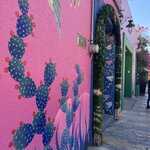 Photo taken by Pacita D