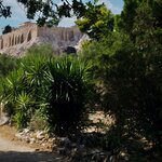 Walk Through National Gardens Park; View of the Acropolis | Photo taken by Tom B