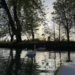 Photo taken by Tammy S