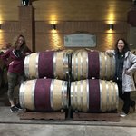 Casas del Bosque in the Casablanca Valley was an excellent lunch and tour...and excellent Sauvignon Blanc! | Photo taken by Lauri F