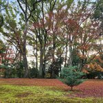 Photo taken by Zulhelmi R