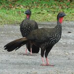 Photo taken by Brett F