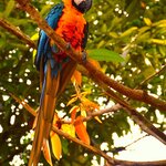 Photo taken by Dennis H