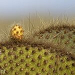 Photo taken by mindy n