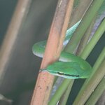 Photo taken by Bonnie Y