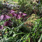 Photo taken by Evan S