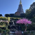 Photo taken by Petralina L