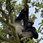 Photo taken by Michael L