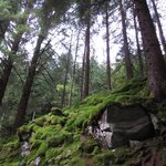 Photo taken by Sapna G