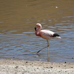 Photo taken by Gianmarco S