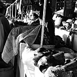 Photo taken by Jason P