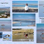 Photo taken by Angel V