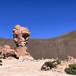 Photo taken by Shirley S